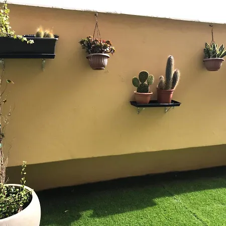 Belle Vue Triplex On The Hill