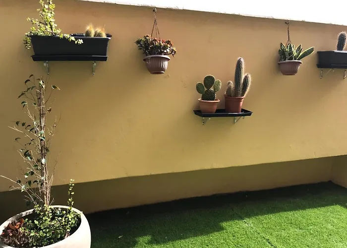 Belle Vue Triplex On The Hill