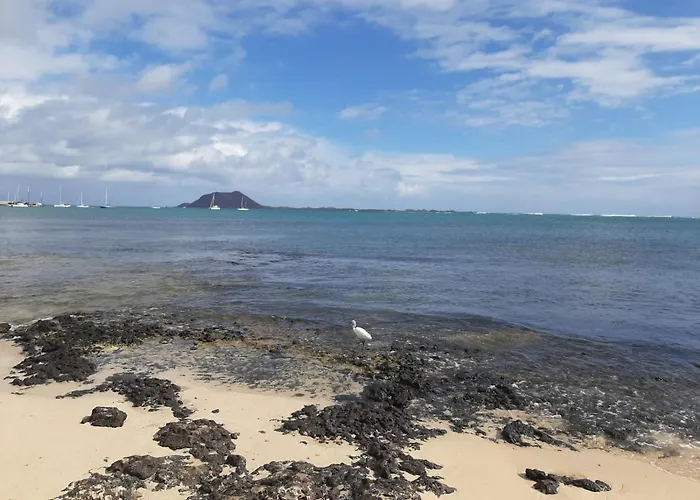 Belle Vue Triplex On The Hill